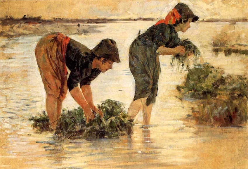 Le gramignaie
